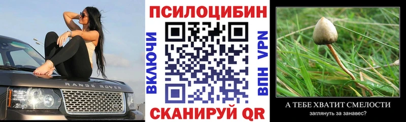 мега   darknet состав  Галлюциногенные грибы ЛСД  Зубцов 